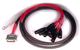 DB25 - XLR M DigiSnake 12'