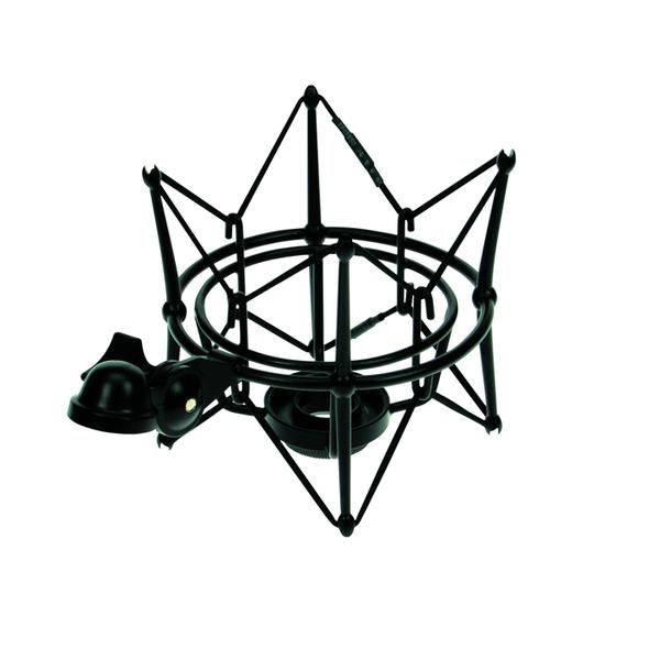 Spinne 1
