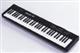 MIDIPRO 61