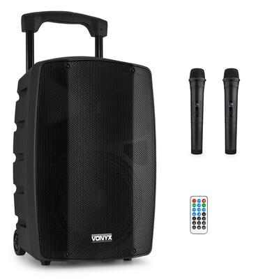 VSP200 Portable Sound System 10''