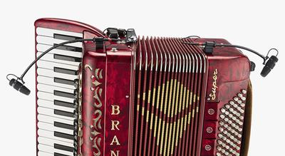 d:vote CORE 4099A (Accordion) Matched Pair