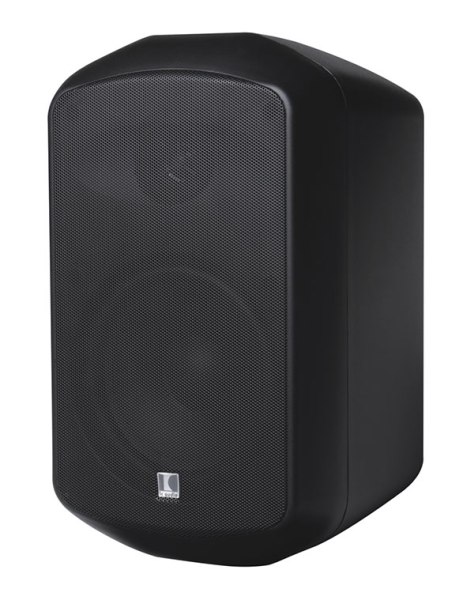 MS 50-165-T Passive Speaker (black)