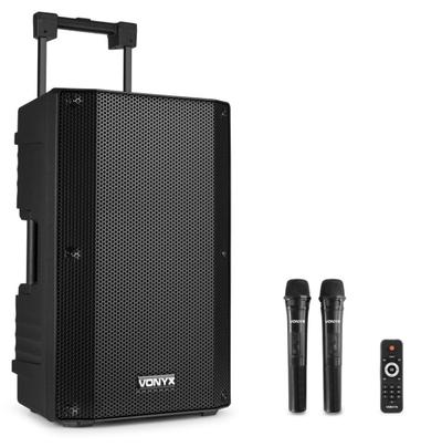 VSA500 Portable Speaker 12 800w with Microphones  