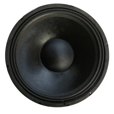 WF 1212 Woofer 12 inch