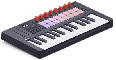  FLkey Mini 25 MK2