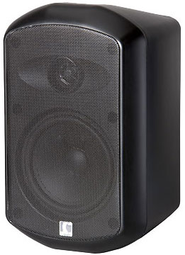 MS 30-130-T Passive Speaker (black)