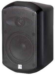 MS 15-100-T Passive Speaker (black)