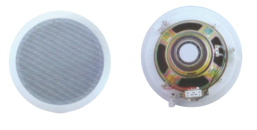 LS 612 - Two way - 100V Speaker