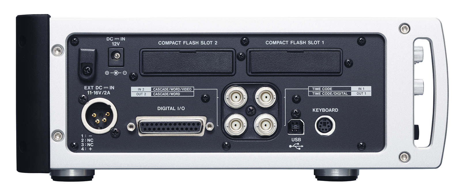 hsp82 left side