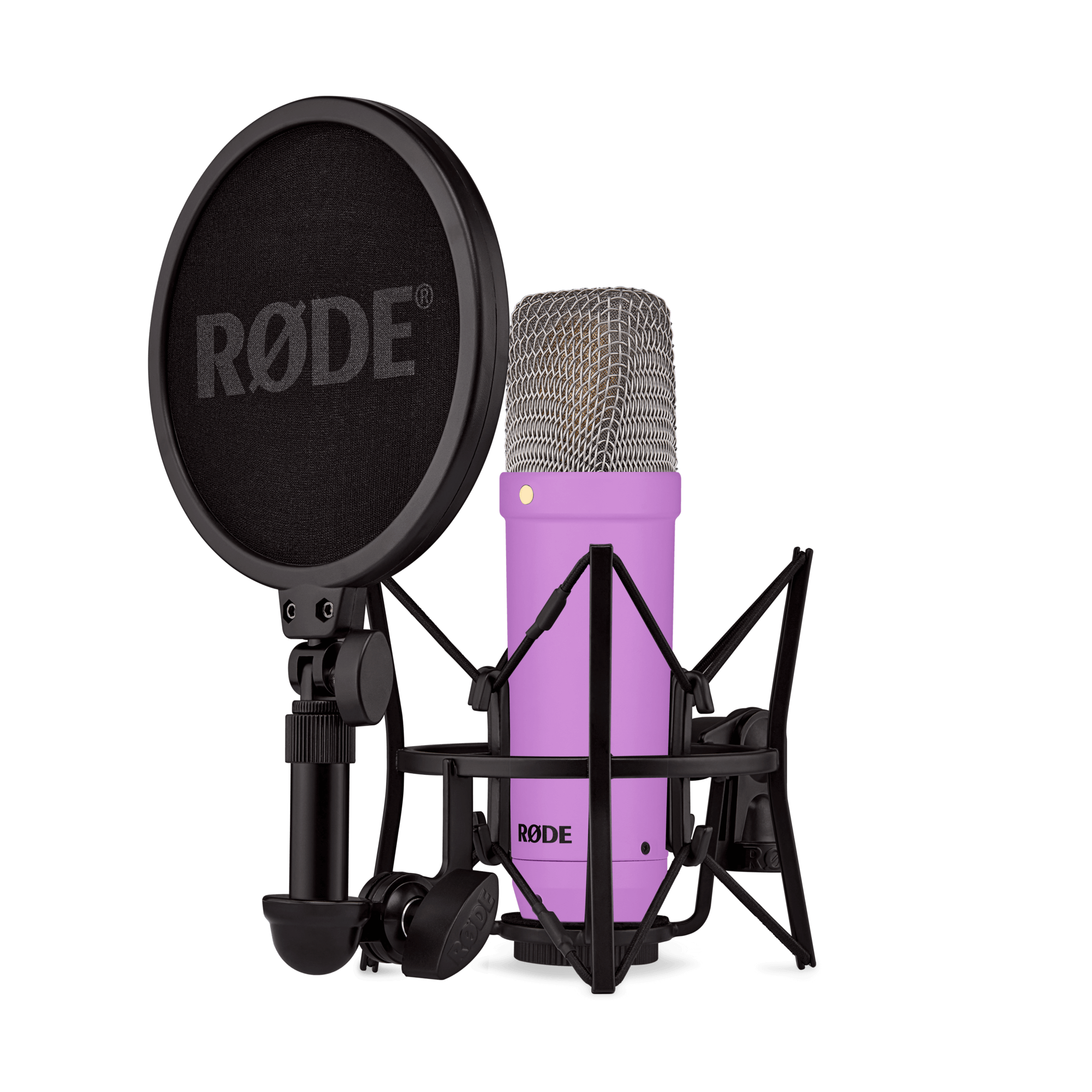 NT1 Signature Series - Purple