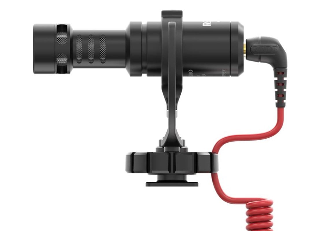 VideoMicro